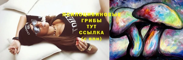 мяу мяу мука Баксан