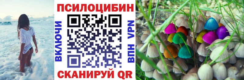закладки  Усть-Джегута  shop клад  Галлюциногенные грибы MAGIC MUSHROOMS  omg как войти 